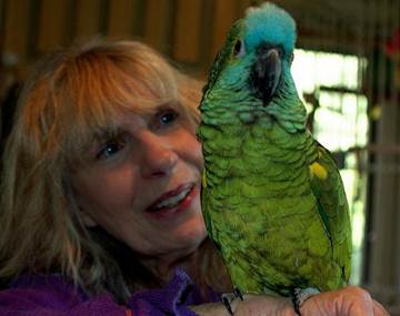 Carla Lane animal rights